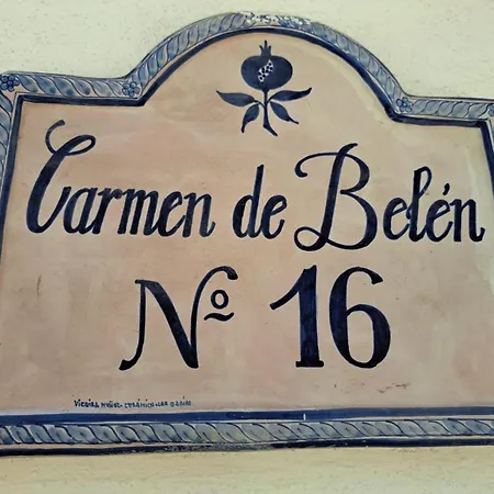 Carmen De Belen Daire *
